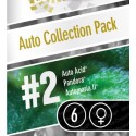 Auto Colección Pack 2