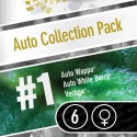 Auto Colección Pack 1