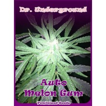 Melon Gum auto - Dr. Underground