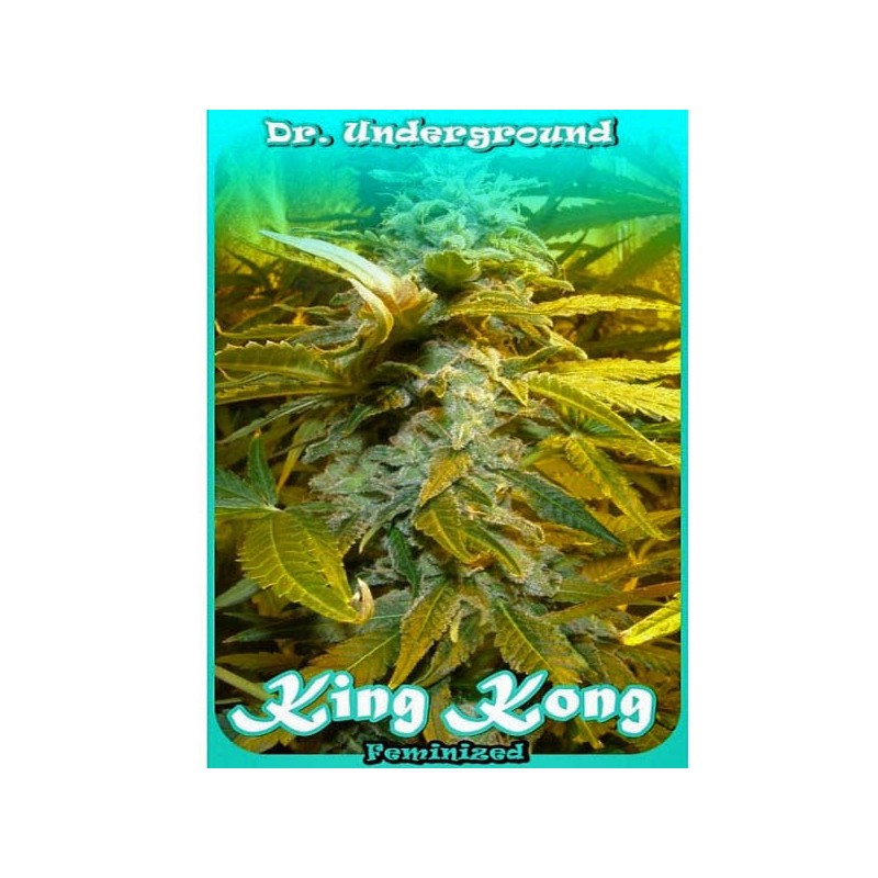 King Kong fem - Dr. Underground