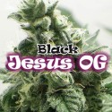 Black Jesus OG fem - Dr. Underground