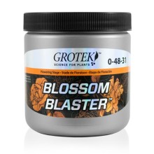 Blossom Blaster 
