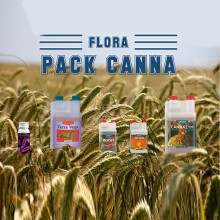 Flora Pack Canna