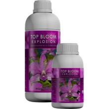 Top Bloom Explosion - Kaya Solutions