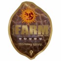 Morning Glory fem - Barney's Farm - Renovación de Stock