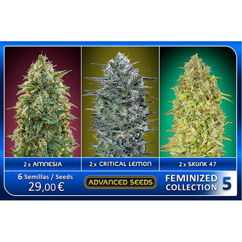 Feminized Collection 5 - Advanced Seeds