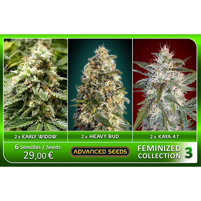 Feminized Collection 3 - Advanced Seeds