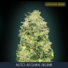 Afghan Skunk auto - Advanced Seeds