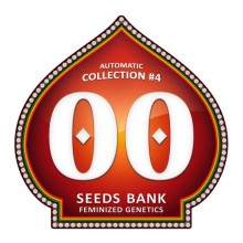 Automatik Colección 4 - 00 Seeds