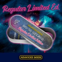 Do-Si-Gelato reg - Advanced Seeds