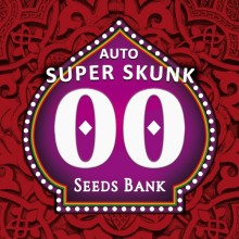 Auto Super Skunk - 00 Seeds