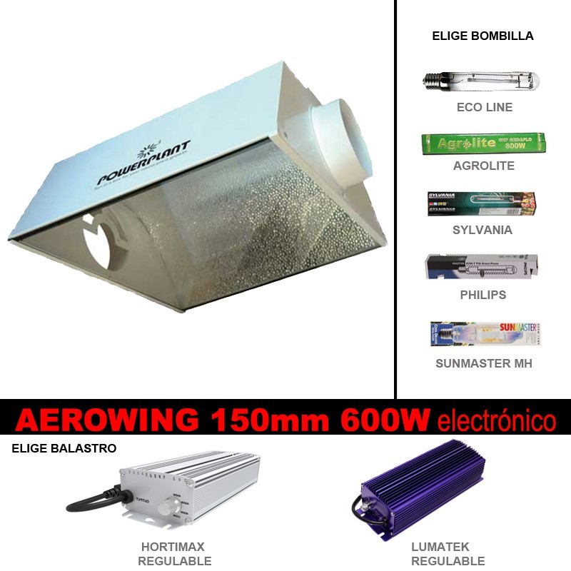Kit AeroWing 150mm Digital 600W