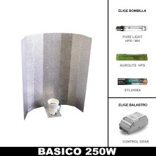 Basic Lighting Kit 250W