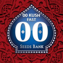 00 Kush Fast fem - 00 Seeds