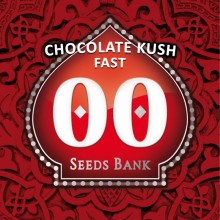 Chocolate Kush Fast Version fem - 00 Seeds
