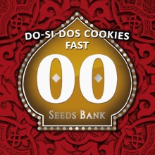 Do-Si-Dos Cookies Fast fem - 00 Seeds