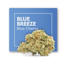 Flores Blue Breeze CBD - Cannactiva