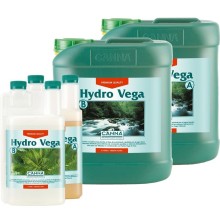 Hydro Vega A + B - Canna